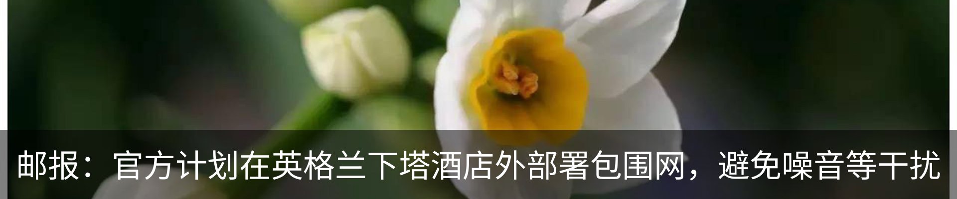 热点资讯